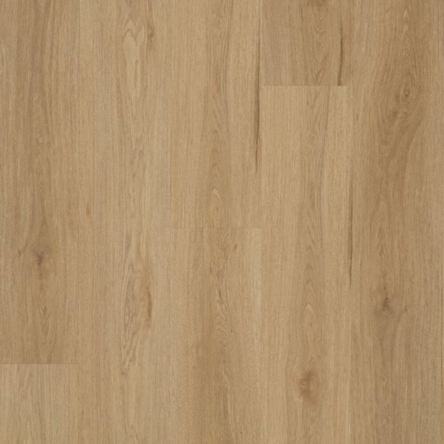 Style Planks Montpellier